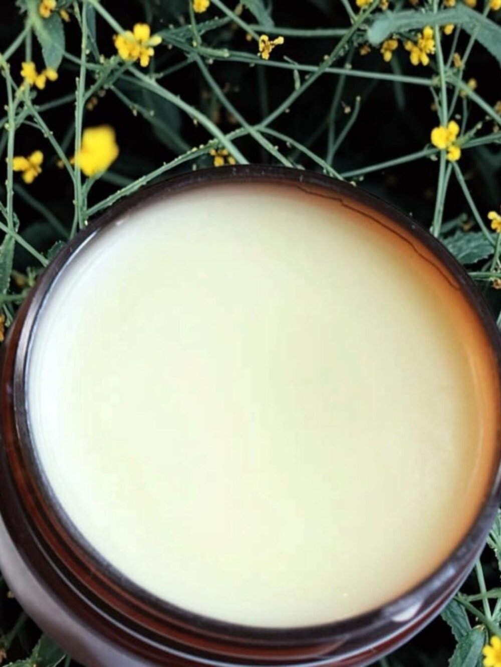 Organic Lip Balms - Vanilla